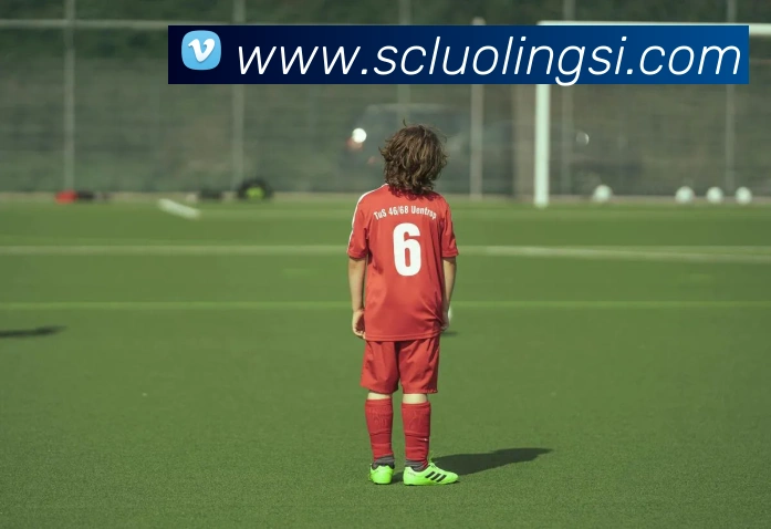 九游在线网页版官网APP 封面图